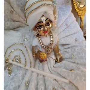 How to Choose the Right Poshak for Laddu Gopal – A Complete Guide