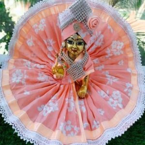 peach floral soft net shringar dress with lace border