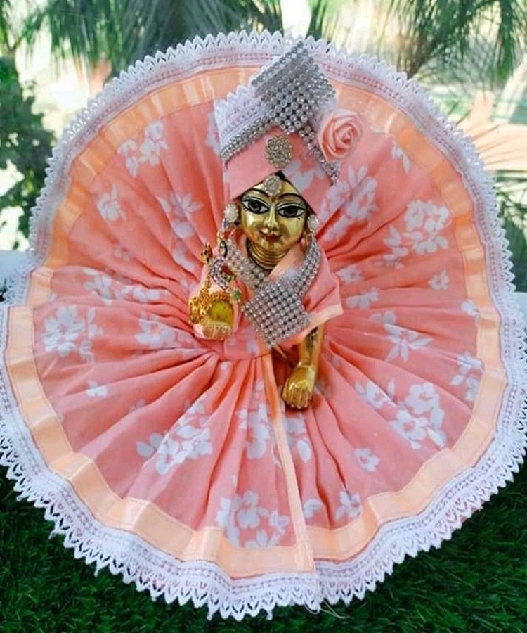 peach floral soft net shringar dress with lace border peach floral soft net shringar dress with lace border