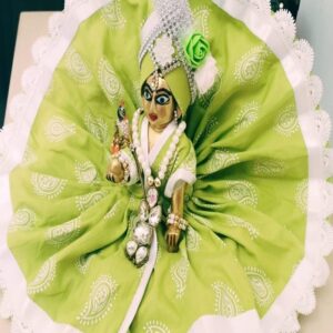 peach floral soft net shringar dress with lace border