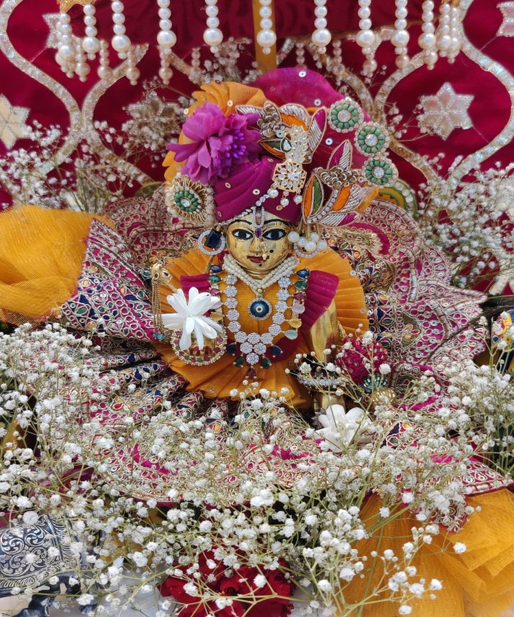 lavender white designer shringar dress with fan back Yellow Pink Heavy Designer Shringar Dress