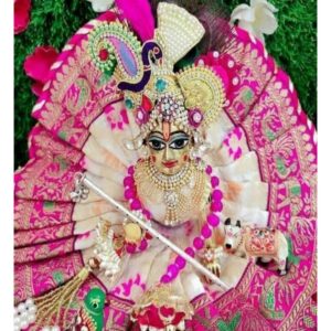 Pink White Banarasi Style Designer Shringar Dress