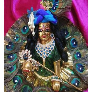 Green Peacock Feather Designer Shringar Dress