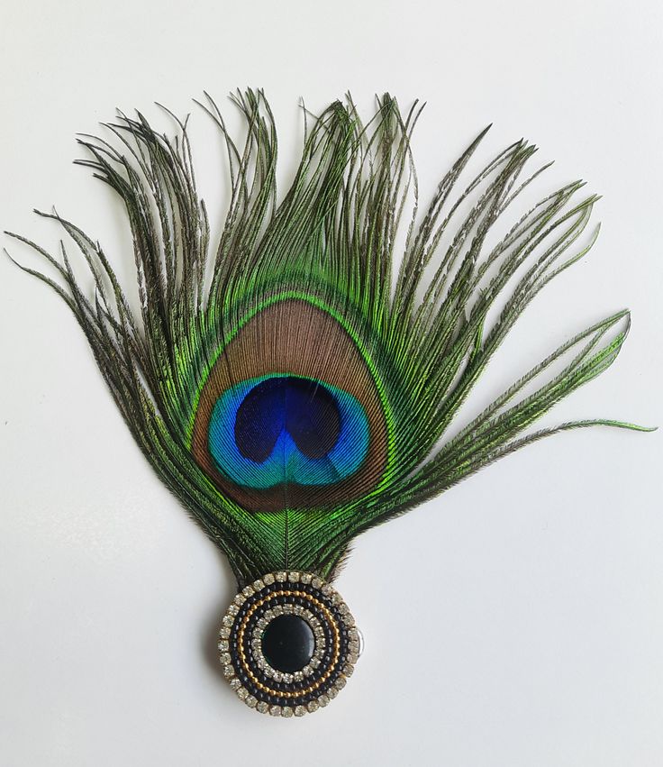 Classic Natural Morpankh Shringar for Laddu Gopal Ji This Classic Natural Morpankh Shringar is a timeless devotional accessory inspired by Shri Krishna’s eternal love for the peacock feather. Crafted using a naturally vibrant morpankh, this piece showcases rich green, blue, and brown hues that symbolize divinity, purity, and protection. The base is finished with a neatly arranged stone-studded circular design that adds a subtle touch of elegance without overpowering the natural beauty of the feather. This morpankh is ideal for devotees who prefer simple yet authentic shringar for Laddu Gopal Ji. Classic Natural Morpankh Shringar for Laddu Gopal Ji This Classic Natural Morpankh Shringar is a timeless devotional accessory inspired by Shri Krishna’s eternal love for the peacock feather. Crafted using a naturally vibrant morpankh, this piece showcases rich green, blue, and brown hues that symbolize divinity, purity, and protection. The base is finished with a neatly arranged stone-studded circular design that adds a subtle touch of elegance without overpowering the natural beauty of the feather. This morpankh is ideal for devotees who prefer simple yet authentic shringar for Laddu Gopal Ji.